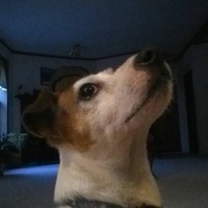 Meet your Posher, Michele